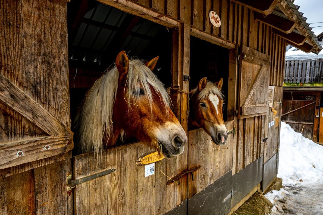 Apartments Farm House Uric Есенице Экстерьер фото