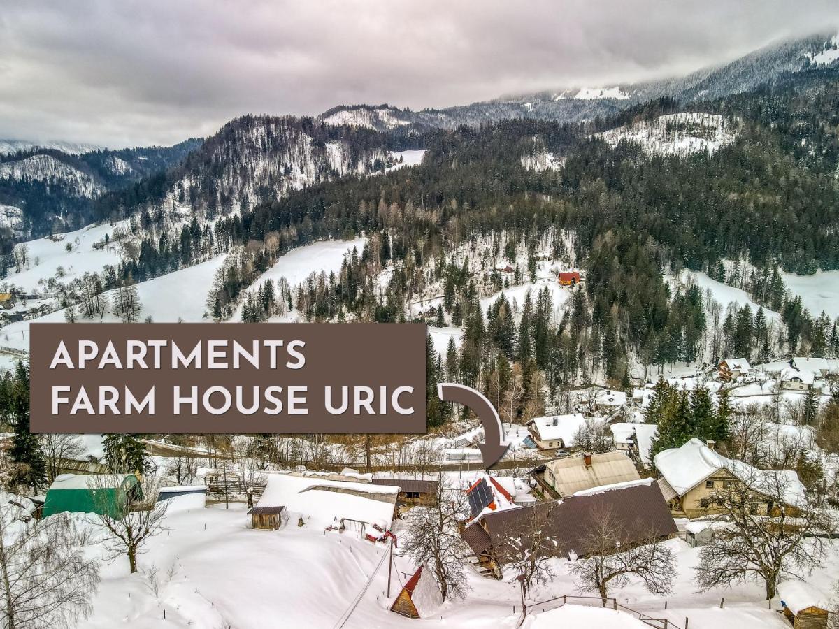 Apartments Farm House Uric Есенице Экстерьер фото
