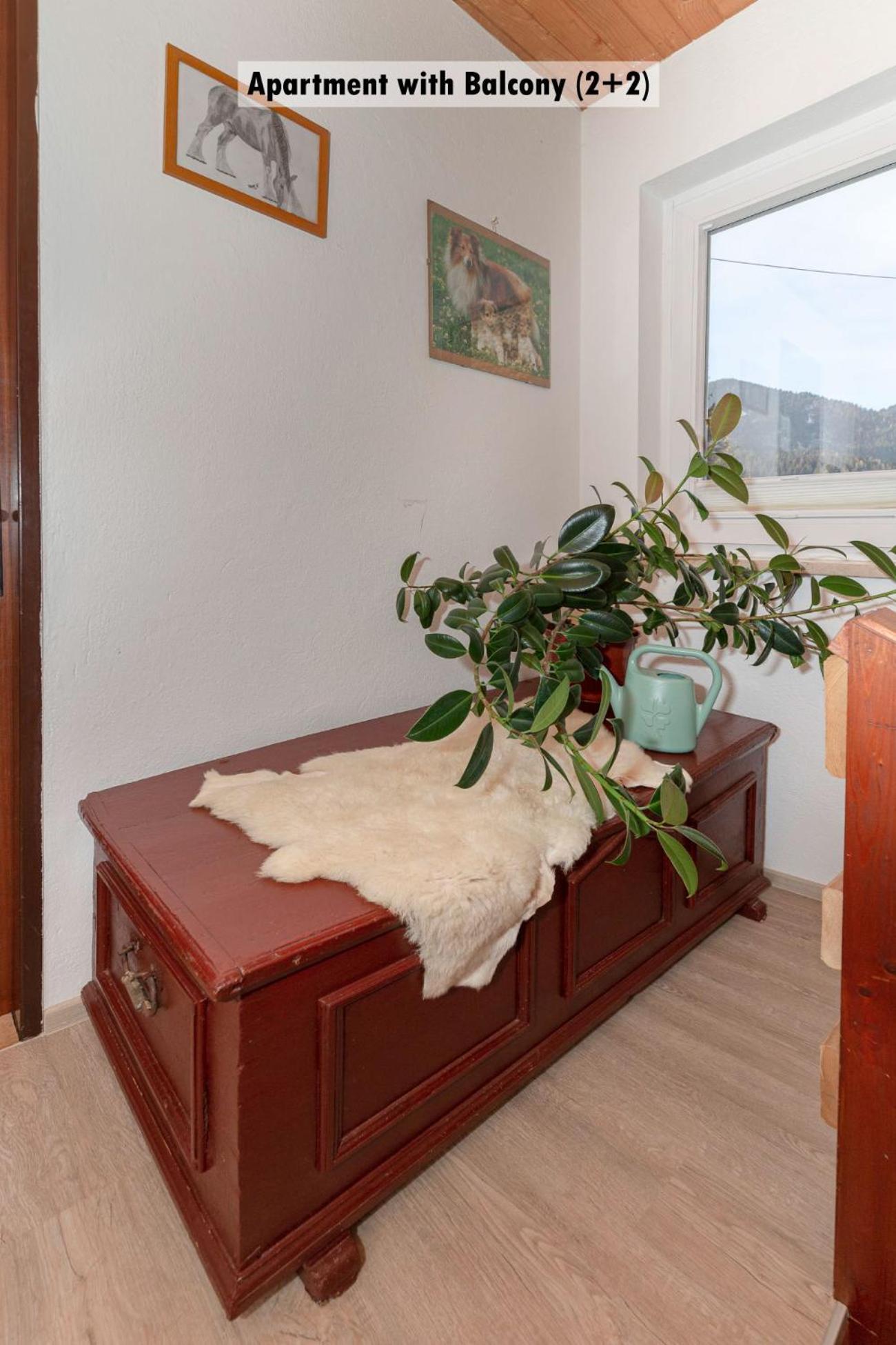 Apartments Farm House Uric Есенице Экстерьер фото